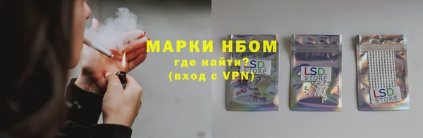ешки Алзамай