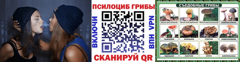 Псилоцибиновые грибы Magic Shrooms  Невьянск 
